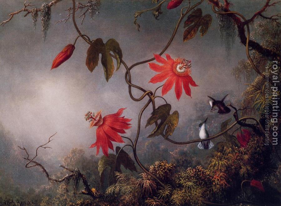 Martin Johnson Heade : Passion Flowers and Hummingbirds